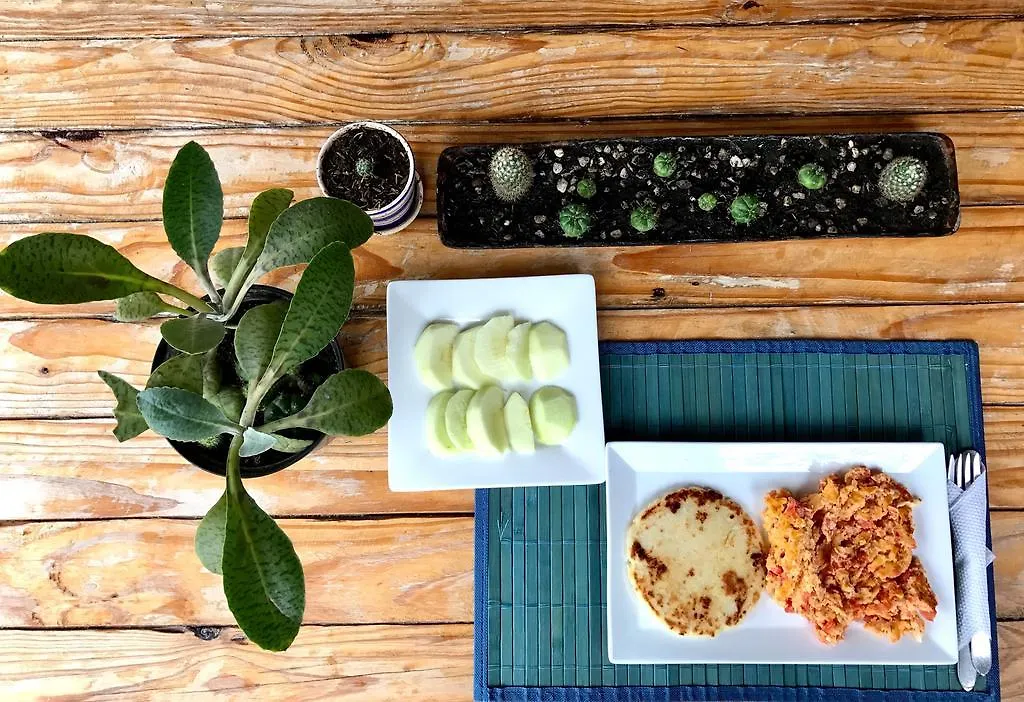 게스트하우스 Posada Kalea Cartagena